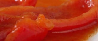 Перець в томатному соусі